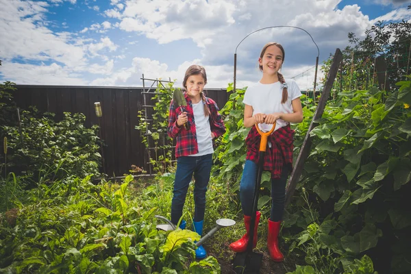 Toned gambar dua adik perempuan bekerja di kebun belakang — Stok Foto