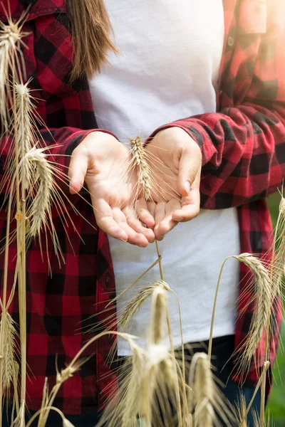 Young woman holding ripe wheat ears in field at sunny day — Stock Photo, Image
