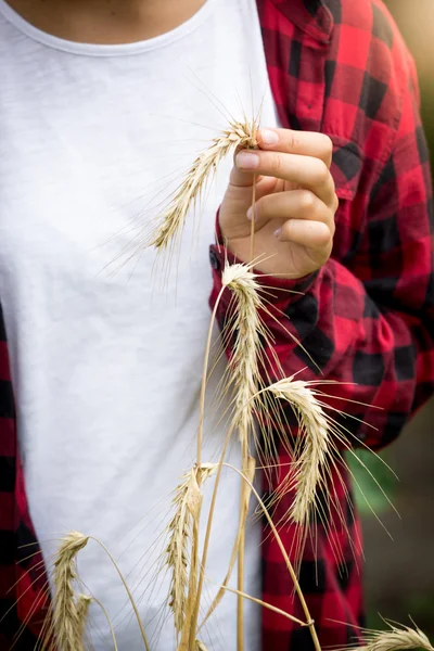 Closeup mladé ženy v kostkované košili drží golding pšenice — Stock fotografie