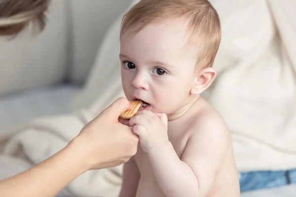 Primer plano de adorable bebé niño mordiendo galleta de la mano de las madres — Foto de Stock