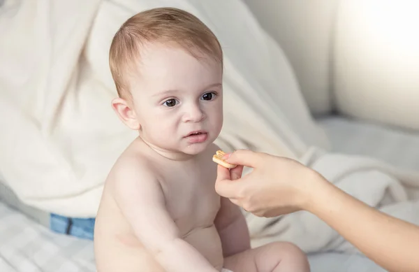 Padres dando galletas para bebés a 9 meses de edad hijo en el dormitorio —  Fotos de Stock