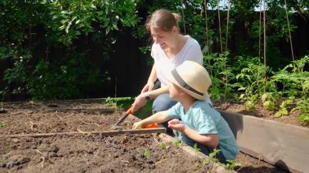 Ευτυχισμένο αγοράκι που βοηθάει τη μητέρα του να δουλεύει στον κήπο και να φυτεύει λαχανικά. Η οικογένεια περνάει χρόνο μαζί. Άνθρωποι που εργάζονται στον κήπο. — Αρχείο Βίντεο