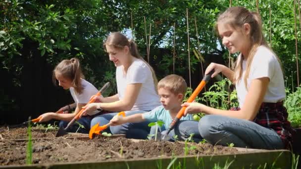 Baharda taze organik sebze yetiştirmek için bahçe toprağı hazırlayan mutlu bir aile. Takım çalışması ve ailenin birlikte zaman geçirmesi kavramı. — Stok video