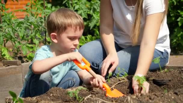 Kind mit Mutter arbeitet im Garten und pflanzt Sporen und Gemüsesetzlinge im Hinterhof — Stockvideo