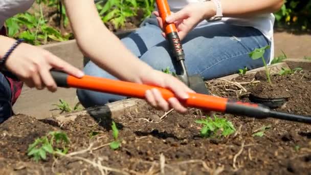 Dolly video lidí, kteří drží zahradní nářadí pracující na zahradě a kopají hnojenou půdu. Koncept týmové práce a rodinné práce na dvorku — Stock video