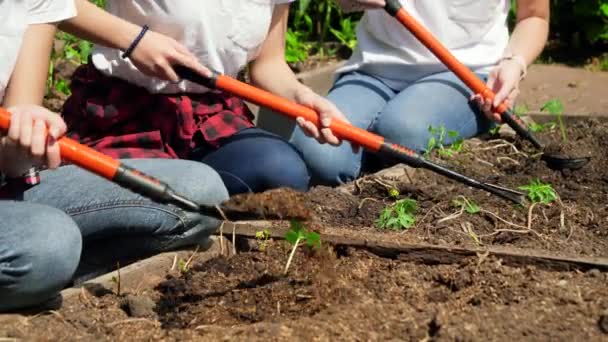 Primer plano video de los agricultores que sostienen herramientas de jardinería cultivando y moldeando el suelo en la cama de jardín. Trabajo en equipo en la granja rural — Vídeos de Stock