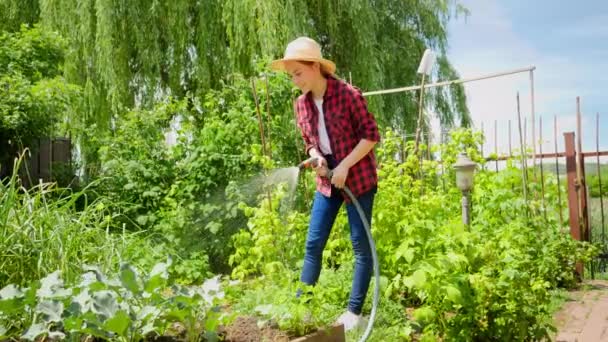 Mosolygó fiatal nő kertészkedik és öntözi a növényeit a kertben. Kerti tömlő használata kerti munka közben. — Stock videók
