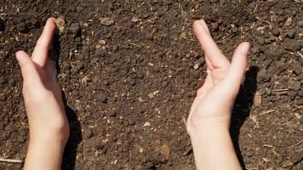 Primer plano de vídeo de manos femeninas sosteniendo tierra fertilizada de la cama del jardín. Concepto de crecimiento, organización de la agricultura y personas que trabajan sobre el terreno — Vídeos de Stock