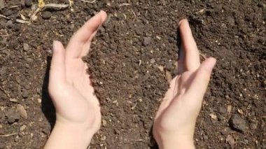 Kadın ellerinin bahçeyi tutarken ve kaldırırken üst görüntüsü. Çevre koruma kavramı ve çiftliklere organik ekin.