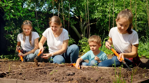 Keluarga besar dengan anak-anak yang bekerja di kebun belakang rumah dan menggali tanah di tempat tidur taman untuk menanam sayur-sayuran pada musim semi — Stok Foto