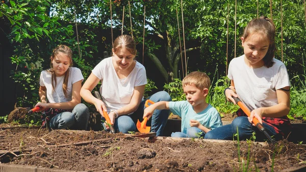 Děti pomáhají matce pracovat na zahradě a sázet zeleninu na zahradním lůžku na dvorku. Koncepce týmové práce a spolupráce rodiny — Stock fotografie