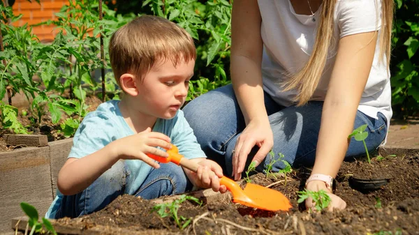 Bambino con madre che lavora in giardino e piantare sporte e piantine di ortaggi in cortile — Foto Stock