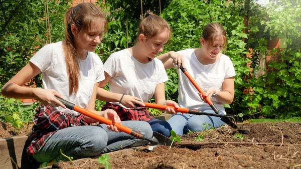 Two girls helping mother working in garden and cultivating soil at garden bed. Family working together at house backyard or farm. Growing healthy and organic vegetables at home — Stock Photo, Image