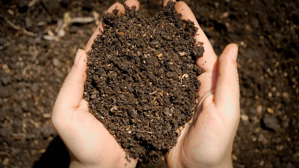 Vrouwelijke handen houden vruchtbare grond van het veld. Begrip groei, milieubescherming en biologische aanplant op landbouwbedrijven. — Stockfoto