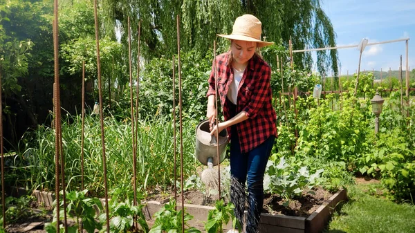 Elinde su kovası olan ve arka bahçede çalışan genç bir kız. Bahçe işleriyle uğraşan ve taze organik sebzeler yetiştiren kadın. — Stok fotoğraf
