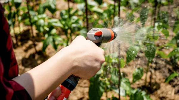 Nahaufnahme Foto von weiblichen Händen, die Wasserschlauch halten, während sie grüne Pflanzen und Bio-Gemüse im Garten im Hinterhof gießen — Stockfoto