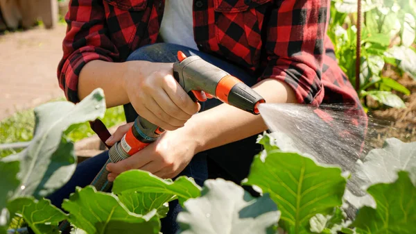 Primer plano de agricultora presionando botón en manguera de agua y riego de verduras orgánicas frescas creciendo en el jardín —  Fotos de Stock