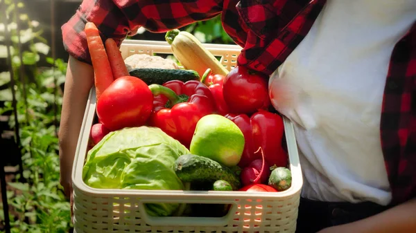 Großaufnahme einer Frau, die eine Schachtel voll reifen Bio-Gemüses trägt. Konzept des Kleinunternehmens und Anbau von Bio-Gemüse im Hinterhof Garten — Stockfoto