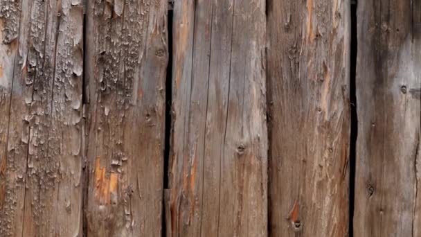 Macro dolly shot of old cracked wooden logs on old fence. Perfect rustic or countryside backdrop — Stock Footage Macro dolly shot of old cracked wooden logs on old fence. Perfect rustic or countryside backdrop Royalty Free Stock Video