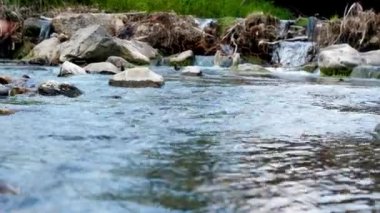 Sakin dağ nehrinin akışına yakın. Sakin dağ akıntısının güzel manzarası