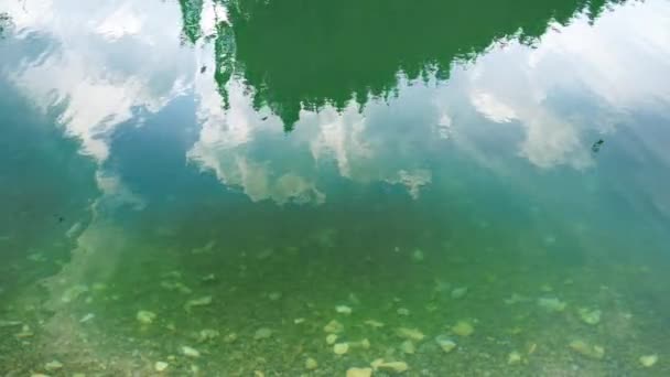 Hoge dennenbos weerspiegelt in smaragd helder water van bergmeer of rivier — Stockvideo