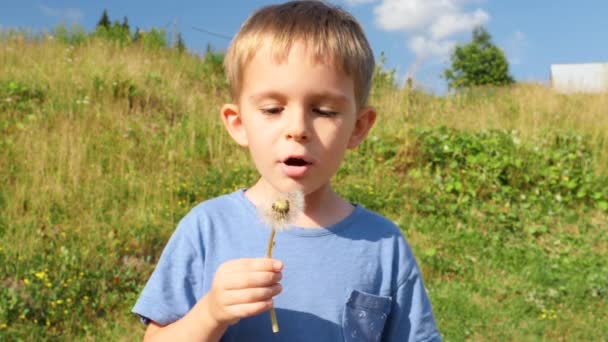 Медленный снимок маленького улыбающегося мальчика, дующего цветок одуванчика в поле — стоковое видео