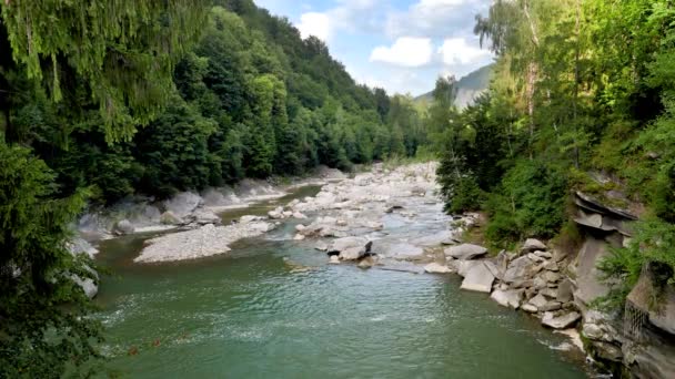 Paisagem de calmo rio de montanha que flui no vale estreito através de floresta de pinheiros — Vídeo de Stock