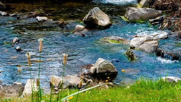 Hermoso arroyo de agua en las montañas en el soleado día de primavera. Hermoso paisaje de sereno arroyo de montaña — Foto de Stock