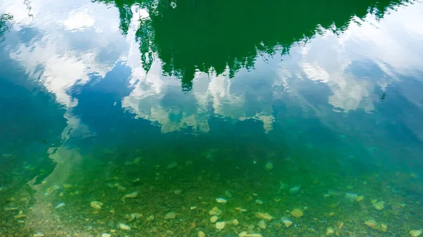 Bosque de pino alto que refleja en esmeralda el agua clara del lago o río de montaña — Foto de Stock