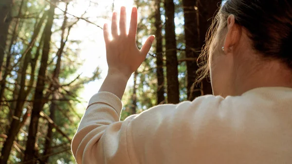 Brillante sol de verano que brilla a través de la mano femenina en el bosque de pinos —  Fotos de Stock