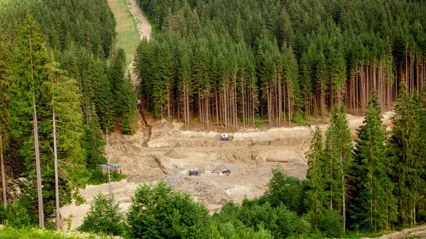 Forest deforestation and cutting of old pine trees in the mountais. Harm to ecology — Stock Photo, Image