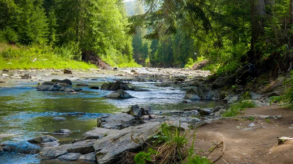 Primer plano de rocas húmedas y aguas tranquilas que fluyen en el hermoso río de montaña que fluye a través del bosque de pinos — Foto de Stock