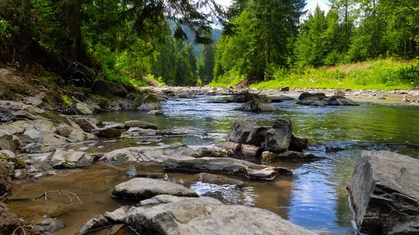 Primer plano de rocas húmedas y aguas tranquilas que fluyen en el hermoso río de montaña que fluye a través del bosque de pinos — Foto de Stock