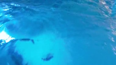 Su yüzeyindeki dalgaların ve dalgaların hızlı akıntıdaki soyut görüntüsü. Güzel su altı arkaplanı ya da arkaplan.