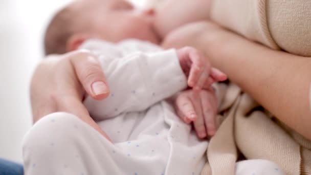 Großaufnahme neugeborener Babys, die auf der Mutter liegen, während sie an der Brust saugen und Milch essen. Konzept der gesunden und natürlichen Babynahrung. — Stockvideo