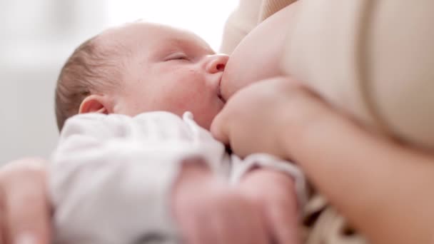 Close-up de jovem mãe carinhosa segurando e abraçando seu filhinho chupando o peito e comendo leite. Conceito de alimentação saudável e natural da amamentação do bebê. — Vídeo de Stock