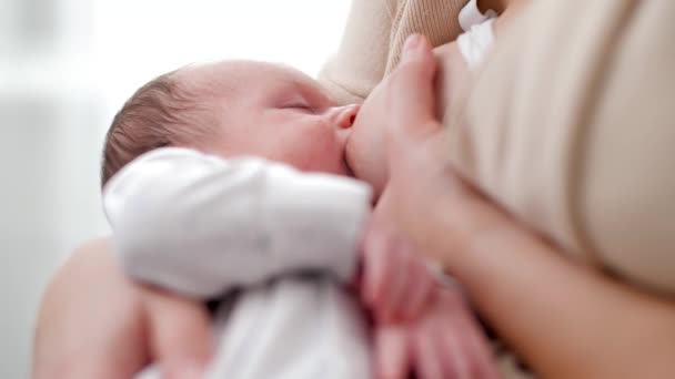 Retrato de un lindo niño durmiendo mientras come leche y chupa el pecho de las madres contra una gran ventana en casa. Concepto de nutrición saludable y natural de la lactancia materna del bebé. — Vídeo de stock