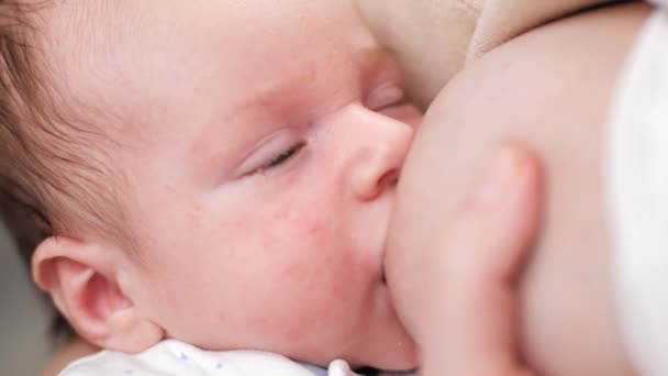 Nahaufnahme Porträt von niedlichen 1 Monat alten Neugeborenen, die Müttern die Brust saugen, während sie Milch essen. Konzept der gesunden und natürlichen Babynahrung. — Stockvideo