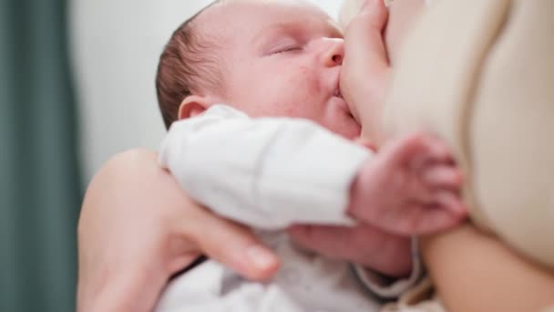 Primer plano del bebé recién nacido que se queda dormido mientras chupa la leche materna de las madres. Concepto de nutrición saludable y natural de la lactancia materna del bebé. — Vídeo de stock