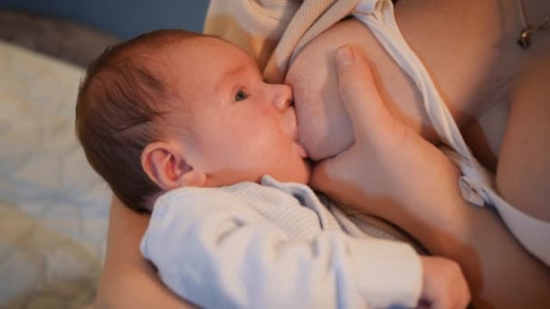 Porträtt av nyfödda pojke som suger och äter mjölk från mödrar bröst på natten innan de somnar. Begreppet hälsosam och naturlig baby nutrition. Moderns och barnets hälsa — Stockvideo