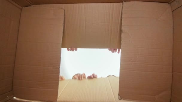 POV of parents with children opening big cardboard box and looking inside. People receiving parcel or gift — Stock Video