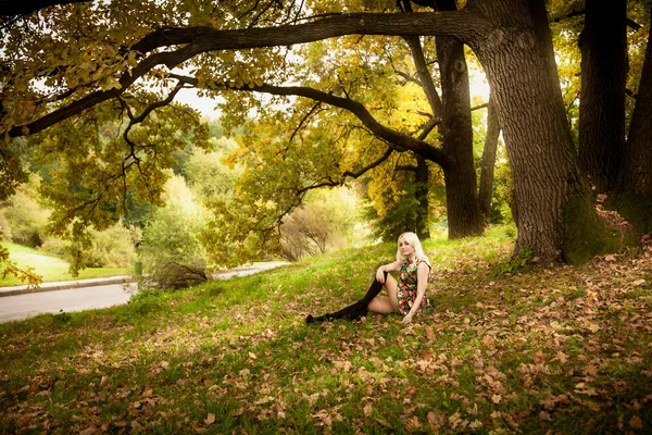 Seksi kadın rahatlatıcı sonbahar yaşlı meşe ağacının altında — Stok fotoğraf