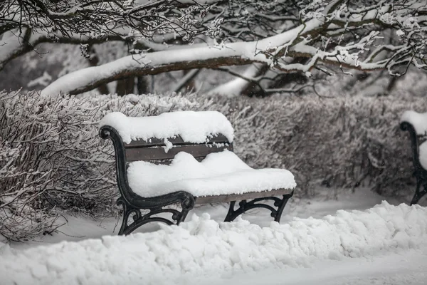 Πάγκο στο πάρκο, καλυμμένο με χιόνι — Φωτογραφία Αρχείου