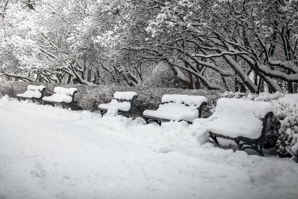 Σειρά των πάγκων στο πάρκο που είναι καλυμμένο με χιόνι — Φωτογραφία Αρχείου