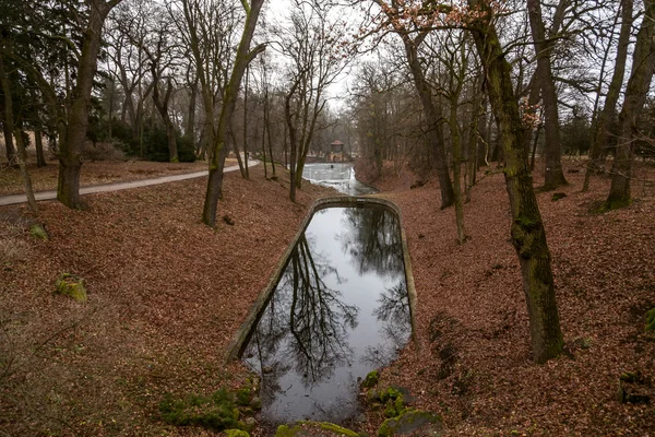 曇りの日で秋の公園で湖 — ストック写真