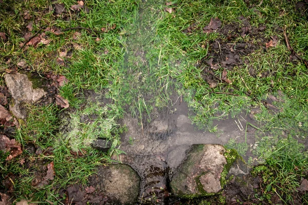 Stream flowing through grass — Stock Photo, Image