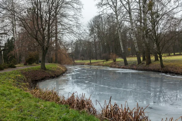 River at park covered in ice — Stock Photo, Image