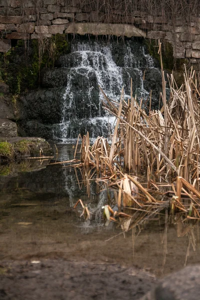 葦と湖に落ちている山の滝 — ストック写真