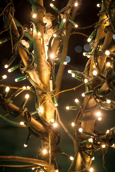 Skott av trädet dekorerade med lampor på natten — Stockfoto