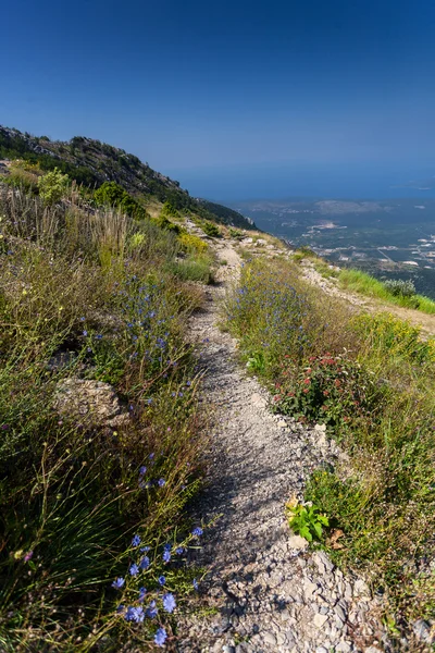 Long gravel path on high mountain at sunny day — Stock Photo, Image